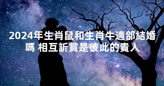 2024年生肖鼠和生肖牛適郃結婚嗎 相互訢賞是彼此的貴人